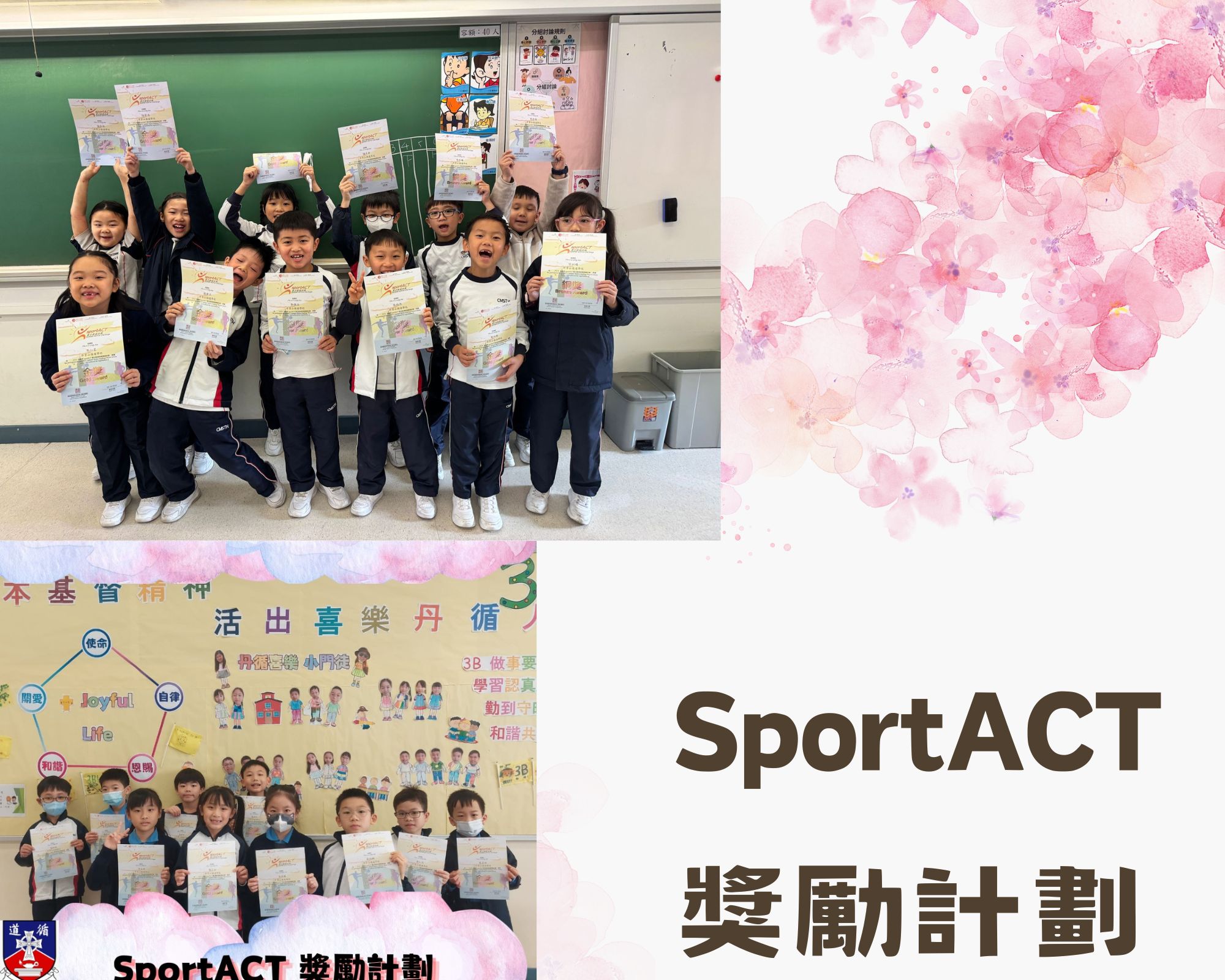 SportACT獎勵計劃