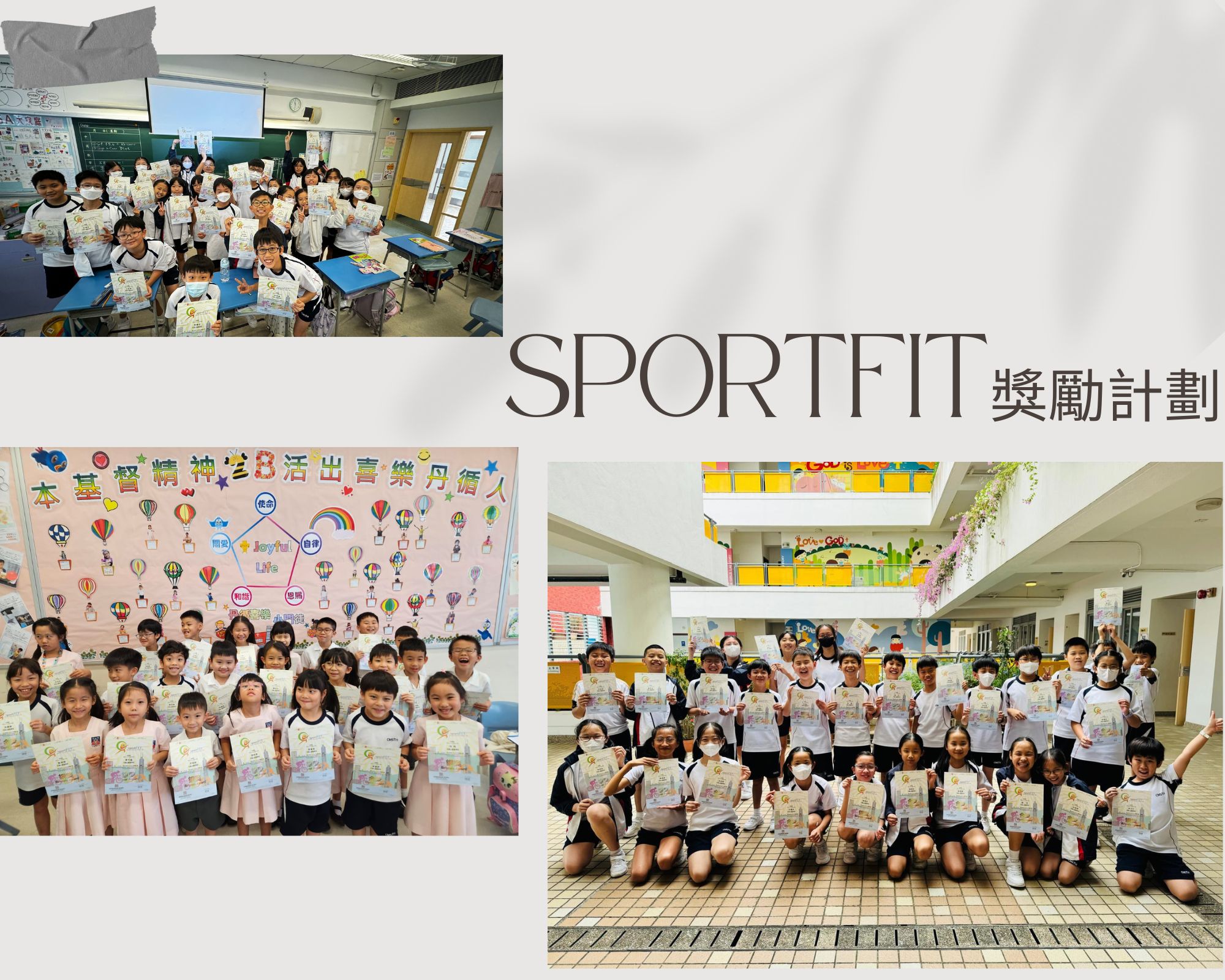 sportfit獎勵計劃